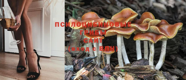 метамфетамин Верея