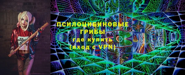 соль ск Верхний Тагил