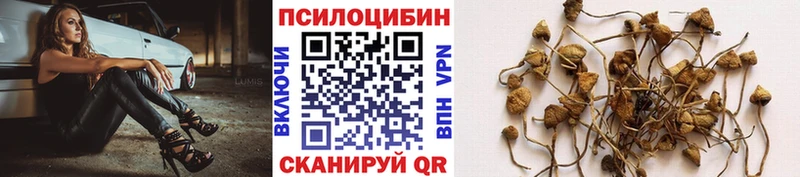 Купить закладки  Рыльск  Галлюциногенные грибы мицелий 